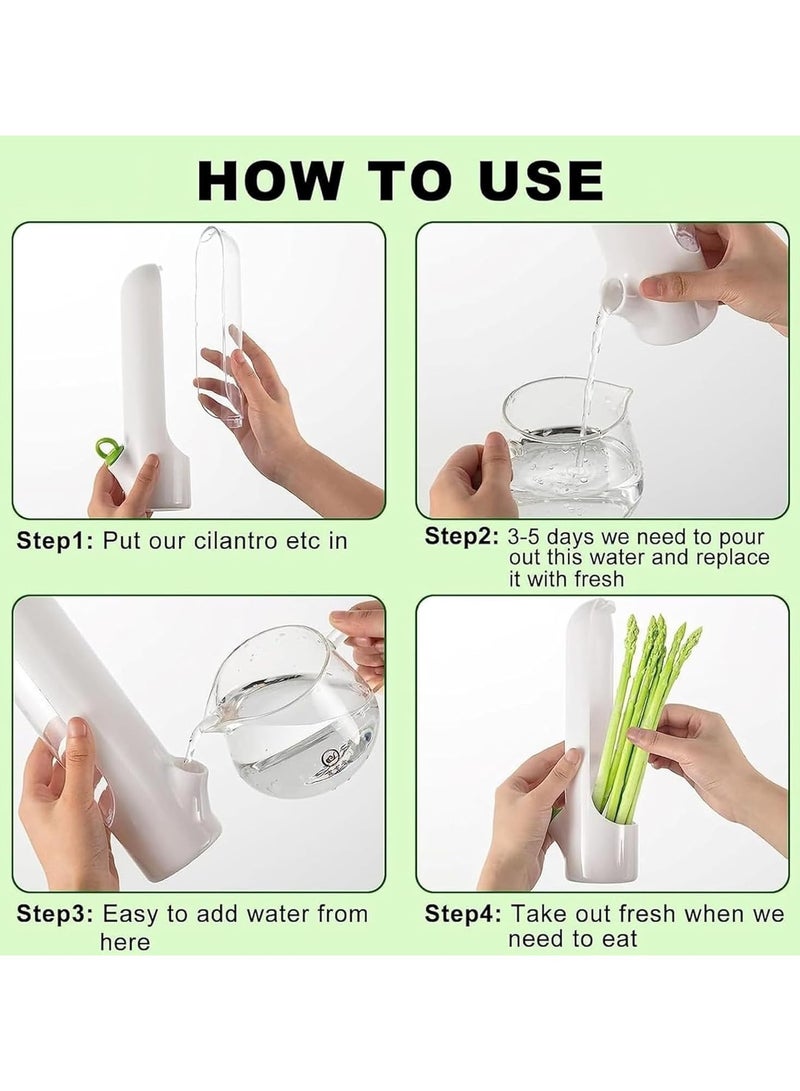 حافظ الأعشاب للثلاجة زجاجة لحفظ الخضروات الطازجة للكزبرة والنعناع والبقدونس بـإحكام جيد ضد تسرب الماء، مما يحافظ على رطوبة الخضروات ويضمن جودتها - Image 3